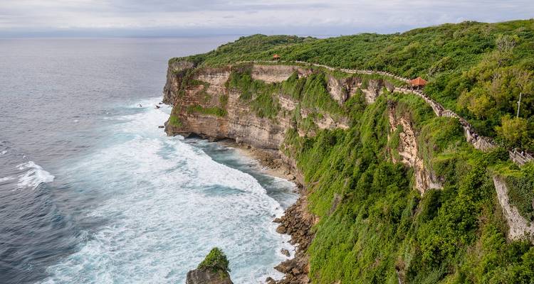 Vue océanique depuis la falaise avec végétation verte.
