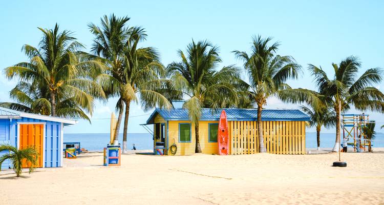 Colorful beach huts backed by palm trees.