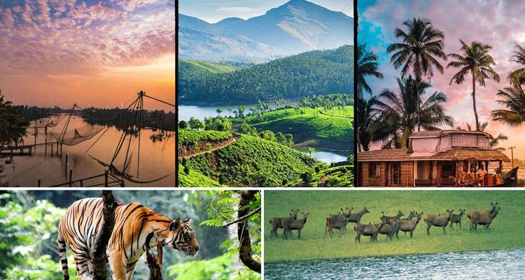 Collage présentant des paysages, une péniche traditionnelle, un tigre et des cerfs.