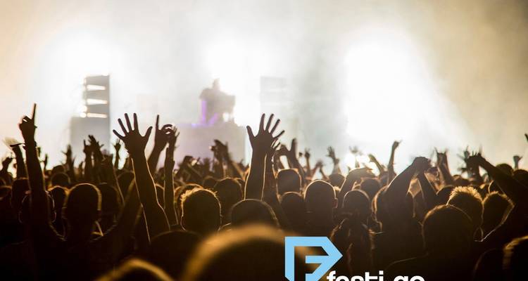 Une foule de concert avec les mains levées sous des lumières vives, avec un filigrane.