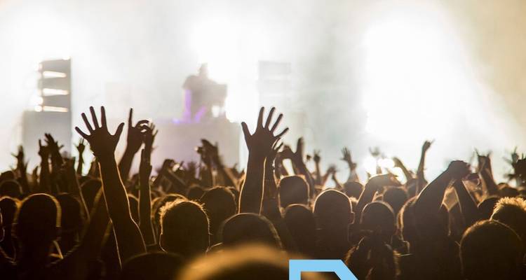 Foule aux mains levées profitant d'un concert en direct avec un rétroéclairage vif et des effets de fumée.
