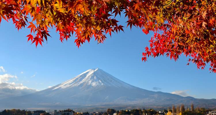 Mount Fuji with autumn leaves in the foreground.