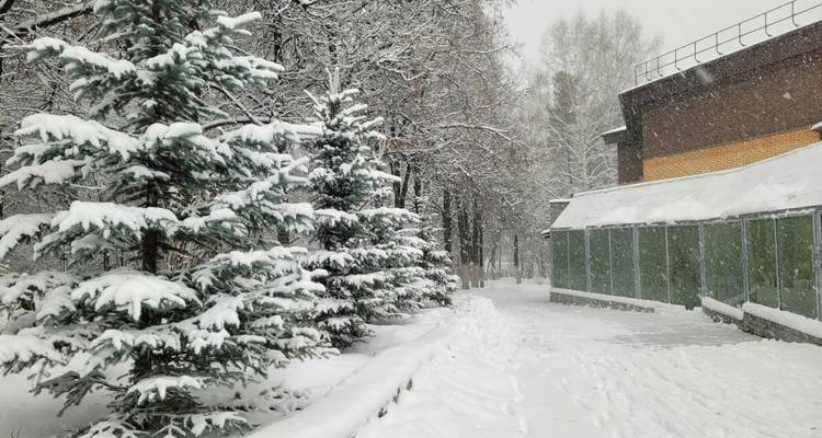 Snow-covered trees and building in a winter landscape.