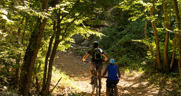 Deux cyclistes roulant sur un sentier forestier.