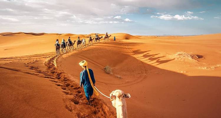 Caravane de chameaux traversant les dunes du désert du Sahara.
