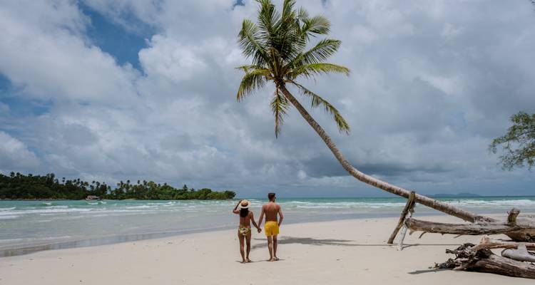 Pareja tomada de las manos en una playa tropical bajo una palmera inclinada.
