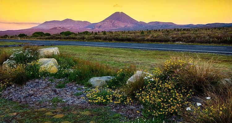 Berg bij zonsondergang met een weg en bloemen op de voorgrond.