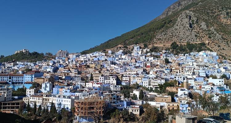 Vue d'un paysage urbain vallonné avec des bâtiments bleus et blancs.