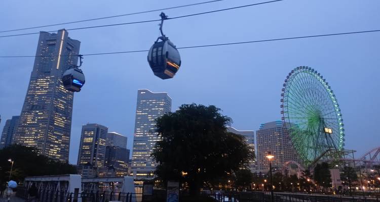Grande roue et bâtiments illuminés au crépuscule avec téléphériques.