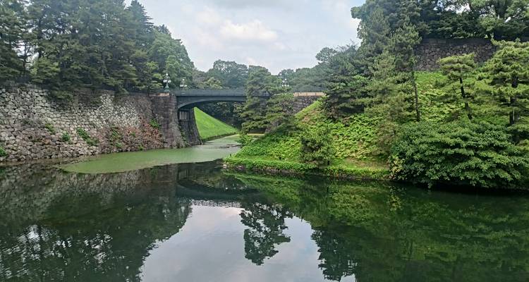 Pont de pierre sur des douves avec une végétation luxuriante.