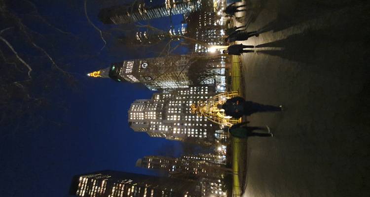 Vue nocturne d'un parc avec une fontaine éclairée.
