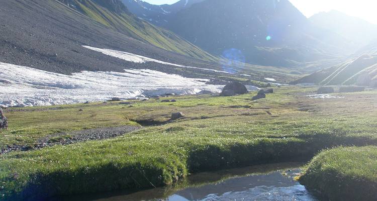 Paysage de montagne avec plaques de neige et terrain herbeux.