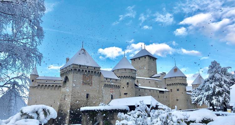 Winter scene of a castle with snow-covered roofs.