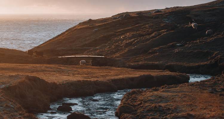 Coucher de soleil sur un paysage accidenté avec une rivière et des moutons.