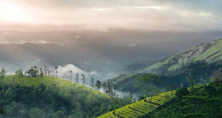Mountainous landscape with tea plantations under a cloudy sky.