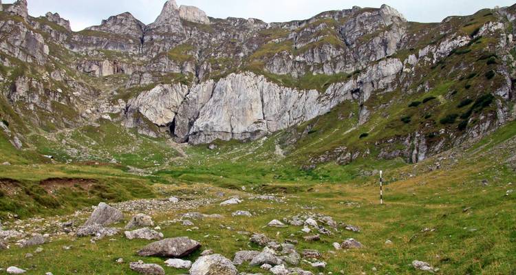 Vallée de montagne avec des falaises rocheuses et des pentes vertes.