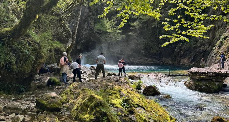 Personas explorando un área boscosa junto a un río.