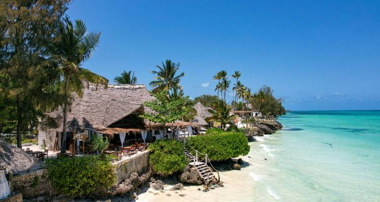 Strandbungalows mit Palmen und klarem blauem Wasser.