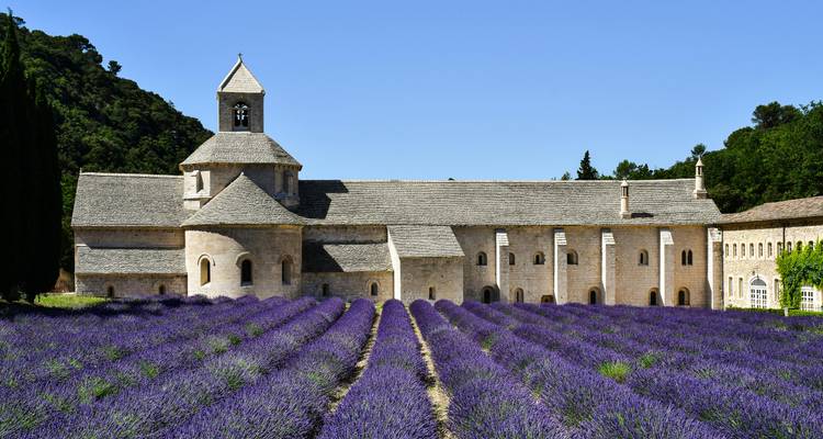 Champ de lavande devant une abbaye historique en pierre.