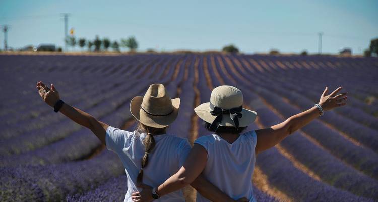 Deux personnes avec des chapeaux profitant d'un champ de lavande, les bras levés.