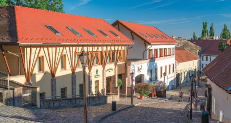 Charming cobblestone street lined with small buildings in Prague.