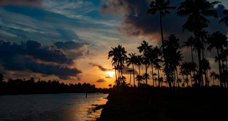 Coucher de soleil dramatique avec des silhouettes de palmiers foncés longeant les backwaters tranquilles du Kerala.
