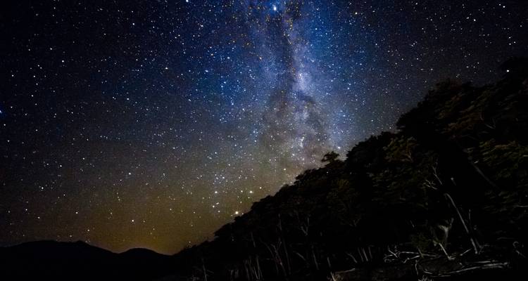 Ciel nocturne étoilé au-dessus d'une forêt en silhouette.