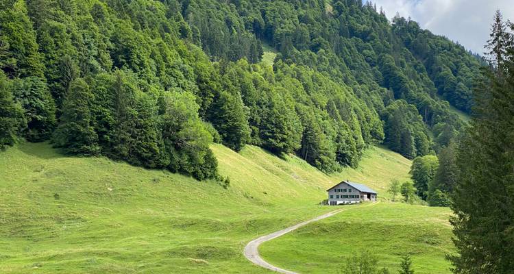 Maison de campagne idyllique entourée d'une forêt verdoyante luxuriante.