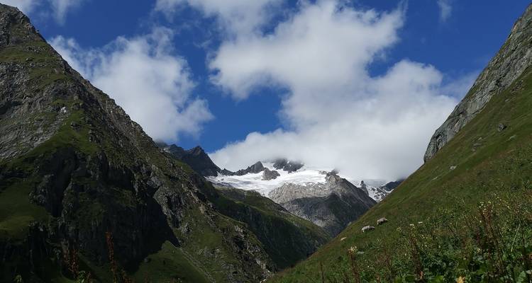 Blick auf schneebedeckte Berge durch ein schmales Tal.