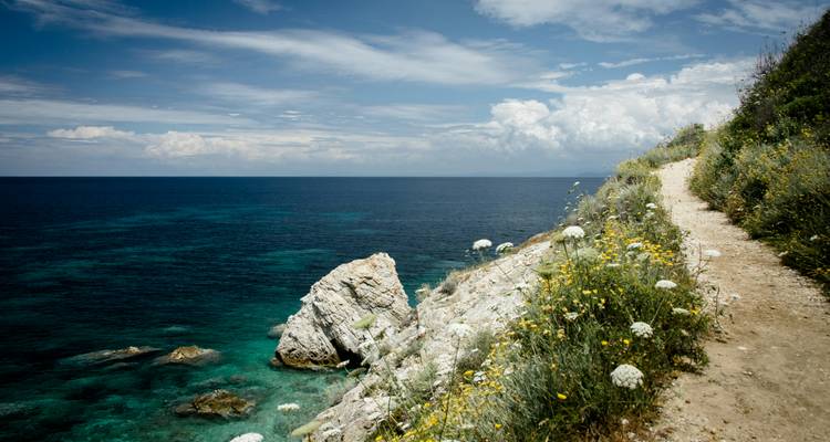 Een kustpad met uitzicht op zee met wilde bloemen.