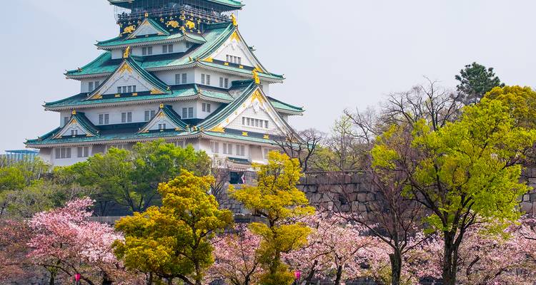 Le château d'Osaka entouré de cerisiers en fleurs et de verdure.