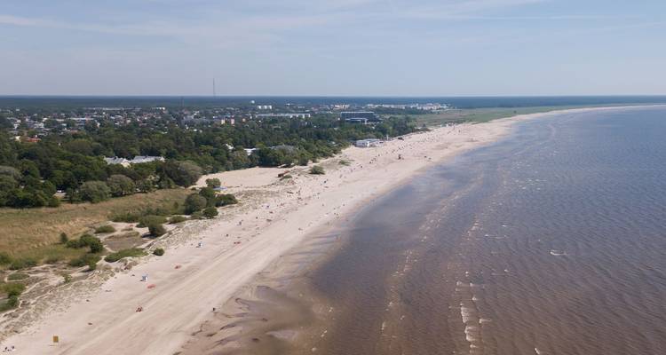 Long stretch of sandy beach and Baltic Sea with distant town and sparse visitors

Longue étendue de plage de sable fin et de la mer Baltique avec une ville lointaine et des visiteurs clairsemés