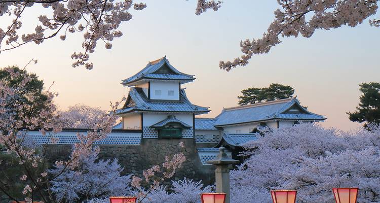 Château japonais entouré de fleurs de cerisier au coucher du soleil.