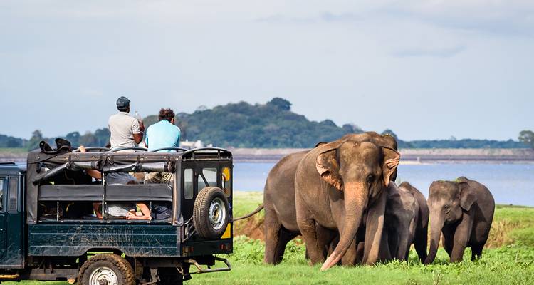 Lo más destacado de Sri Lanka - Exodus Adventure Travels 9