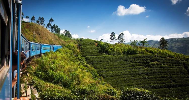 Hermoso viaje en tren a través de exuberantes colinas verdes.