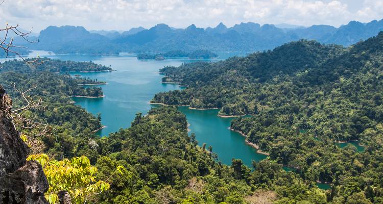 Vista aérea de una densa selva tropical y lagos serpenteantes.