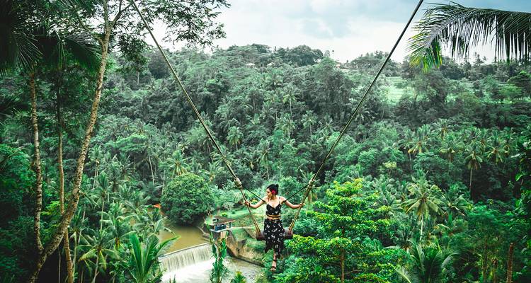 Person swinging high above a lush green valley with palm trees.