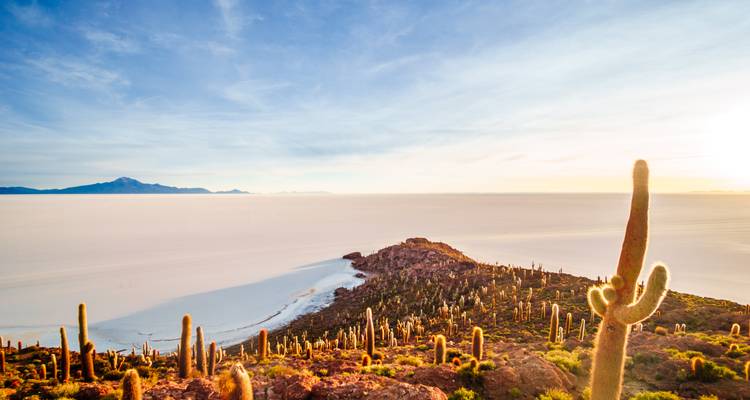 Isla del Pescado with cacti amidst vast salt flats.