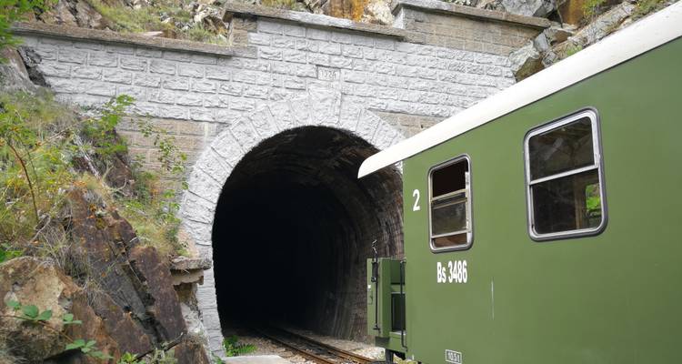 Train entrant dans un tunnel de pierre dans un paysage rocheux.