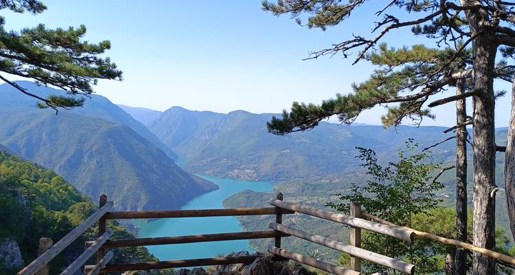 Une plateforme d'observation surplombant une gorge de rivière entourée de montagnes et d'arbres.