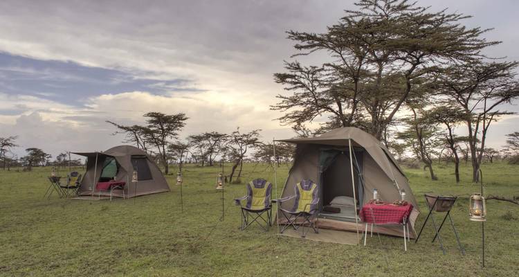 Deux tentes avec des chaises de camping, des lanternes et des arbres sous un ciel partiellement nuageux.