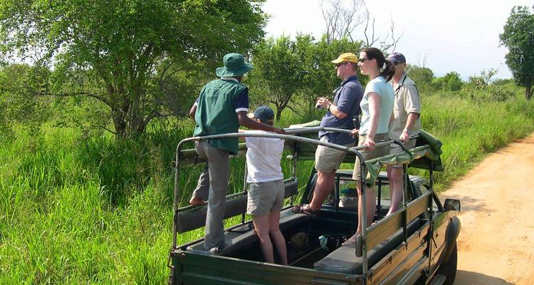 Group of people on a safari vehicle exploring the wilderness.