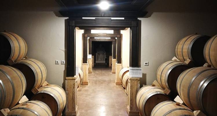 Intérieur d'une cave à vin avec des tonneaux en bois alignés le long du couloir.