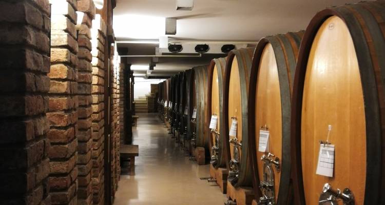 Cave à vin avec de grands tonneaux en bois et un mur de briques.