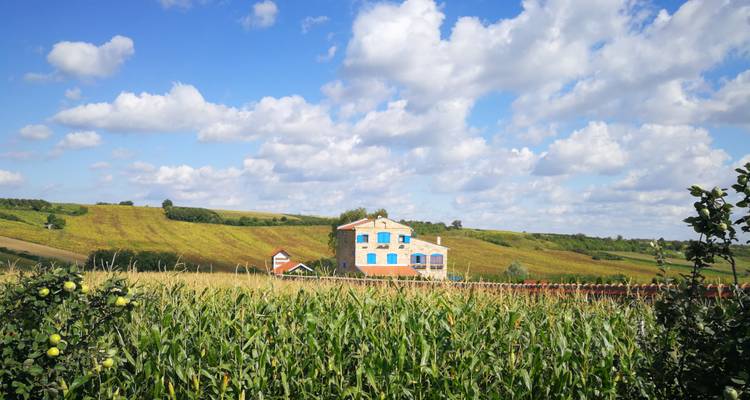 Paysage de campagne avec une maison et des champs vallonnés sous un ciel bleu.