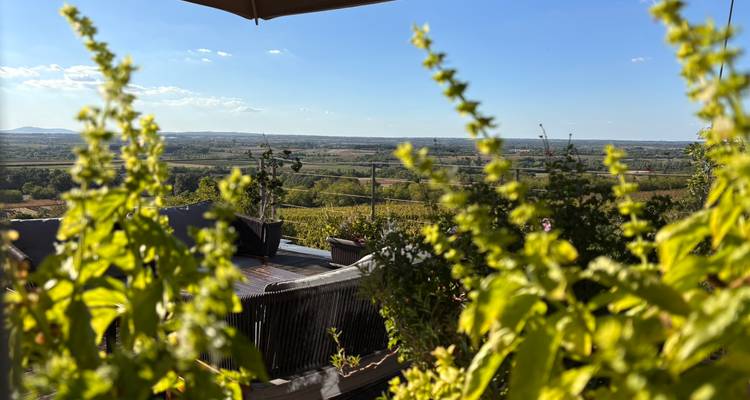 Vue panoramique d'une vallée depuis une terrasse avec des plantes au premier plan.