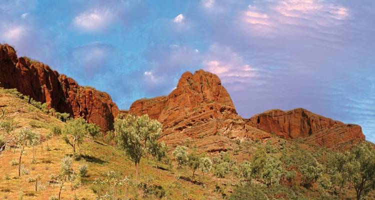 Kata Tjuta Felsformationen mit Büschen und blauem Himmel.