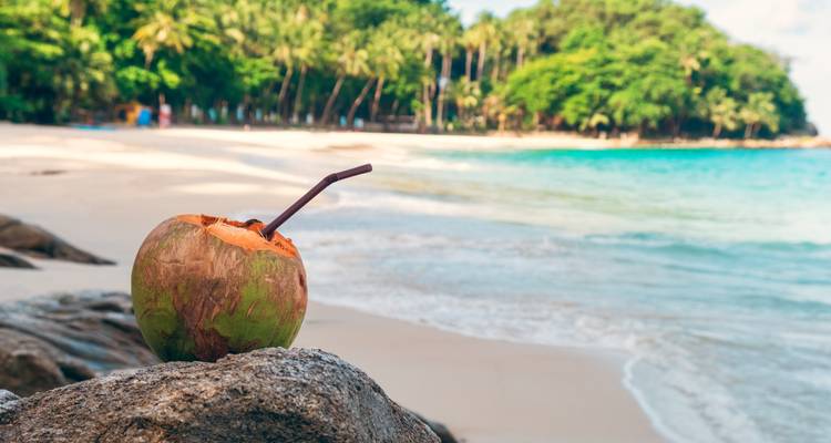 Une boisson à la noix de coco sur une plage avec des palmiers et des eaux turquoise en arrière-plan.