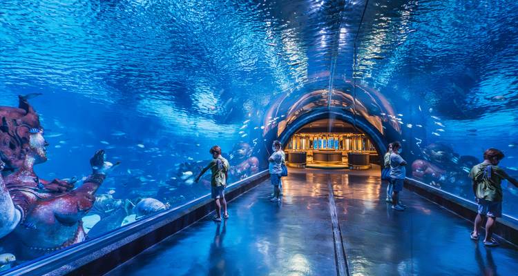 Des personnes observent la vie marine dans un tunnel sous-marin d'un aquarium.