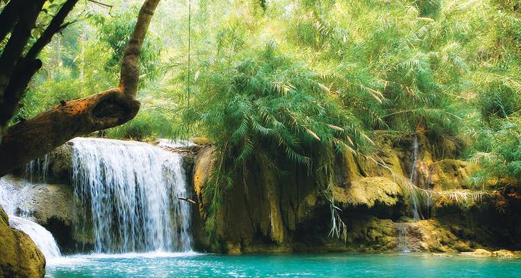 Tropische waterval omgeven door weelderige groene vegetatie.
